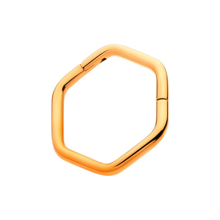 Hinged Ring Hexagon | Titanium Clicker Segment Hoop Ring - Avanti Body Jewelry