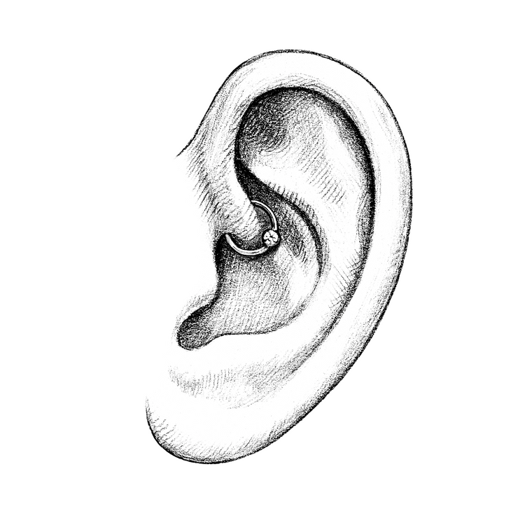 Ears | Daith