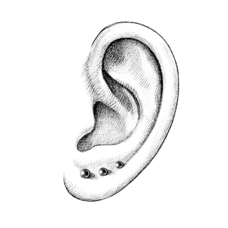 Ears | Lobes