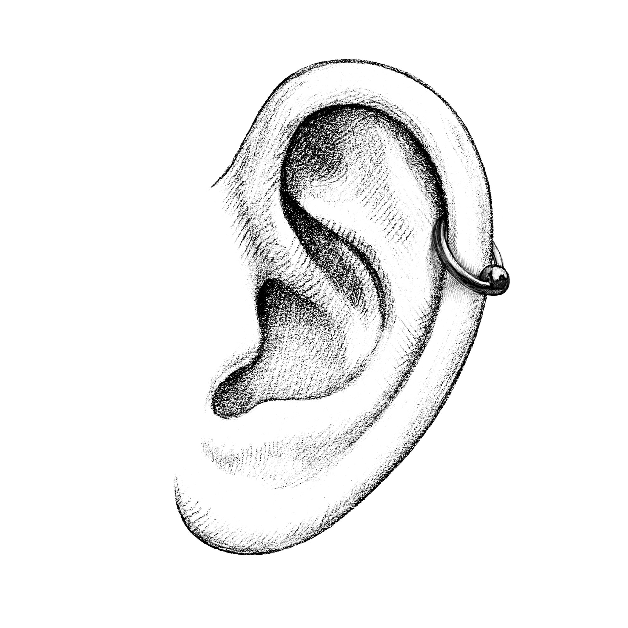 Ears | Helix – Avanti