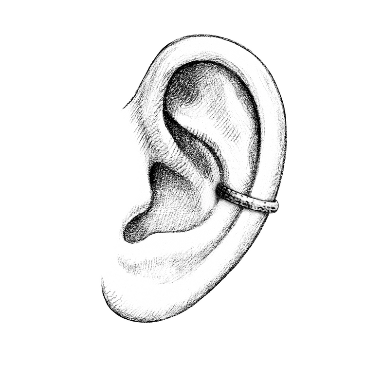 Ears | Conch