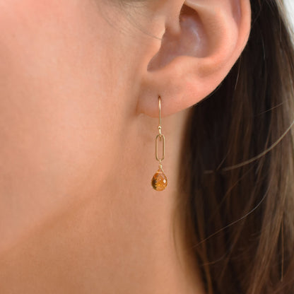 14k Amethyst Drop Paperclip Chain Hook Earring - Avanti Body Jewelry