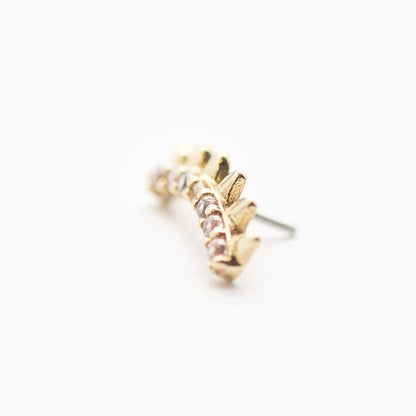 Petite Curved Spike Strip | 14K Threadless Top  For Nose, Ears & Lip