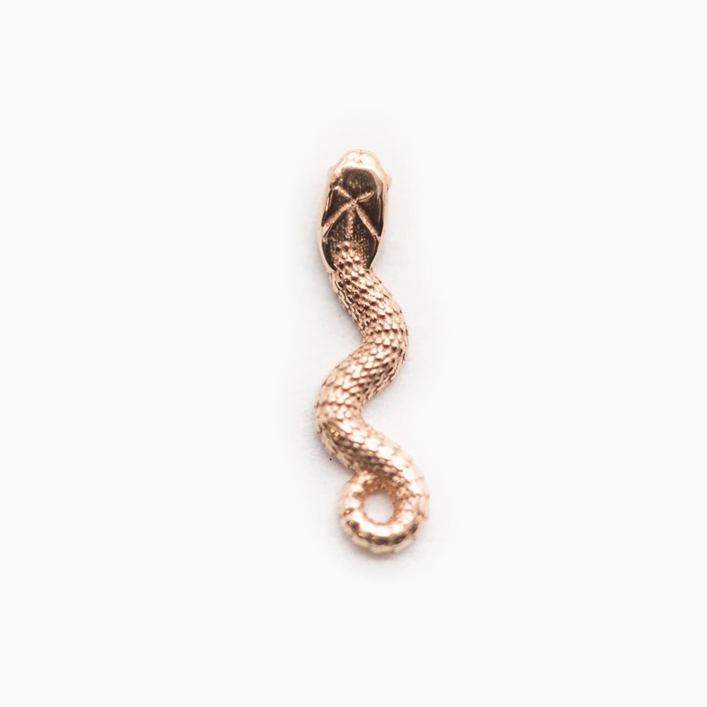 Threadless 14k Gold Snake Ends For Nose, Ears & Lip - Avanti Body Jewelry