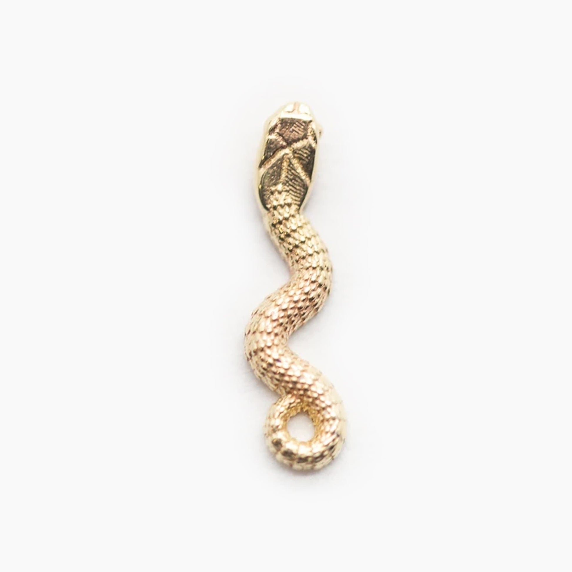 Threadless 14k Gold Snake Ends For Nose, Ears & Lip - Avanti Body Jewelry