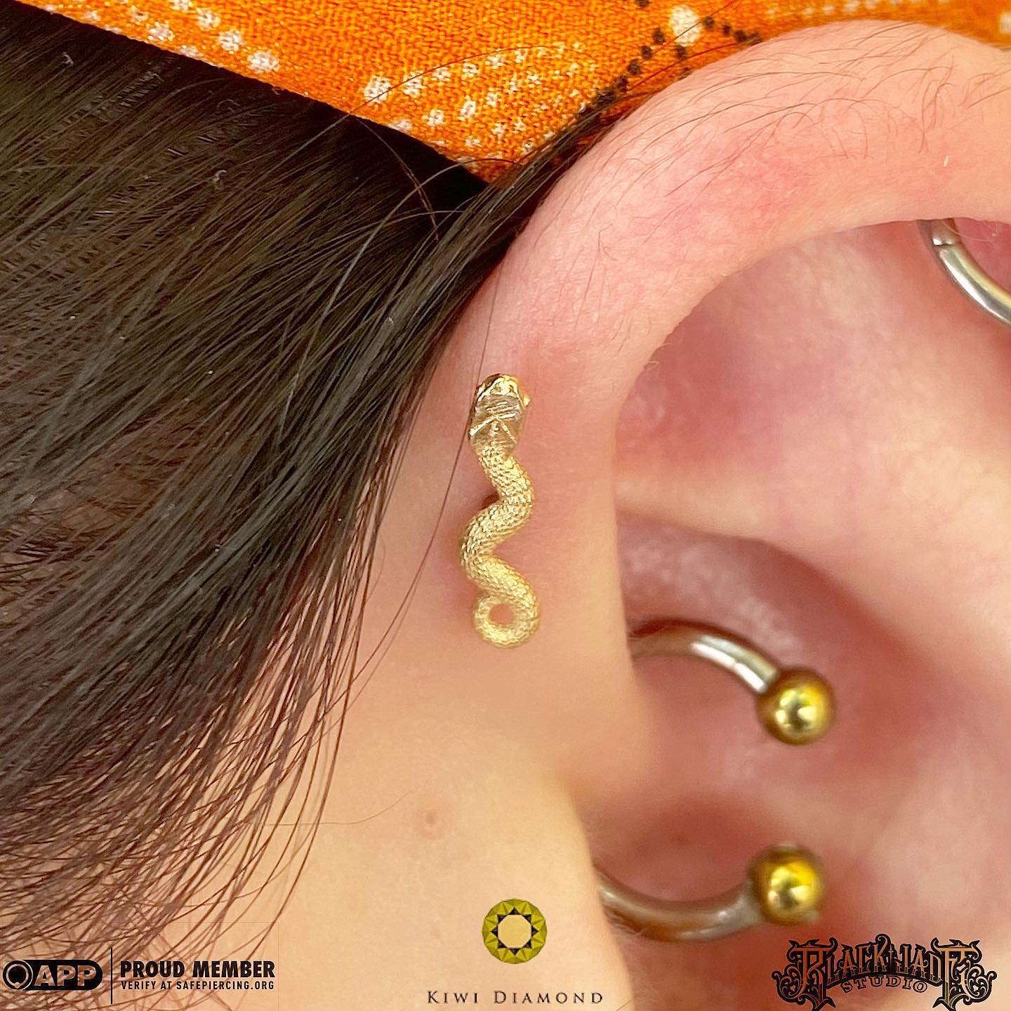 Threadless 14k Gold Snake Ends  For Nose, Ears & Lip