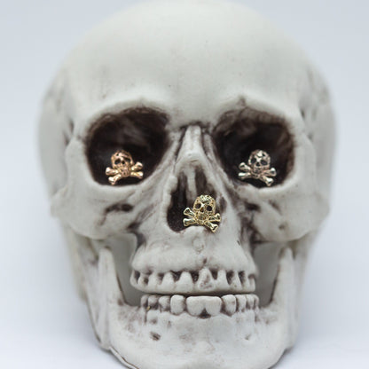 Skull & Crossbones | 14K Threadless Top  For Nose, Ears & Lip