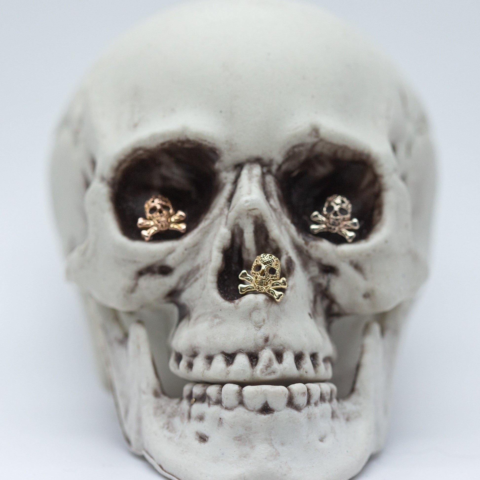 Skull & Crossbones | 14K Threadless Top For Nose, Ears & Lip - Avanti Body Jewelry