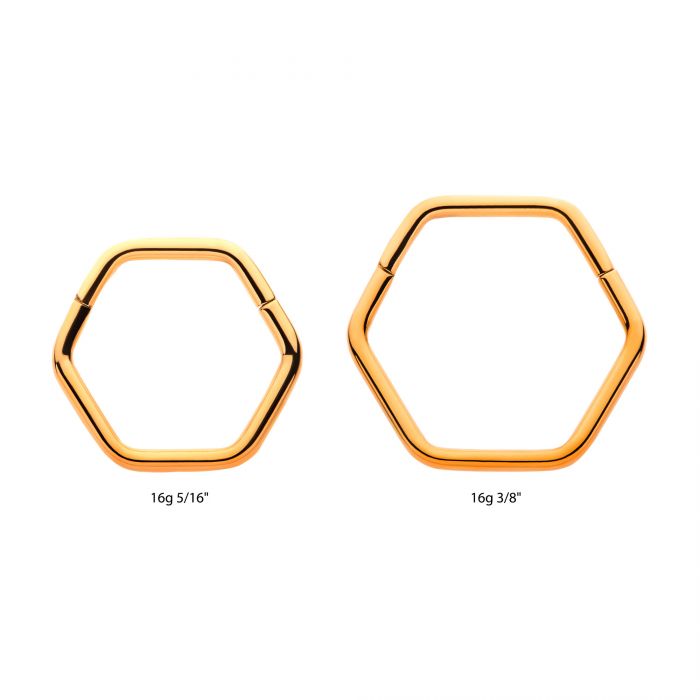 Hinged Ring Hexagon | Titanium Clicker Segment Hoop Ring - Avanti Body Jewelry