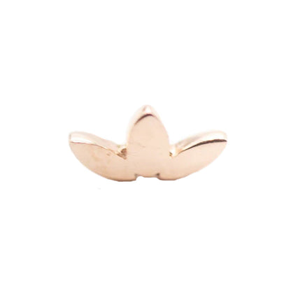 Low-Profile Marquis Fan | 14K Threadless Top  For Nose, Ears & Lip